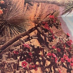 Meet your Posher, Mia